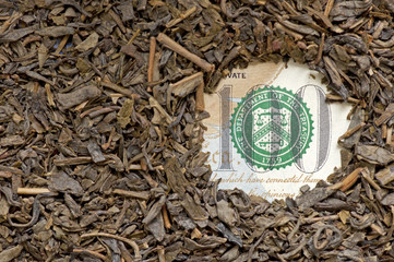 Green tea on one hundred dollars