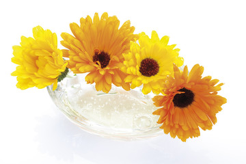 Ringelblumenblüten 