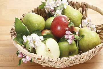 Äpfel, Birnen und Blüten in Korb,erhöhte Ansicht