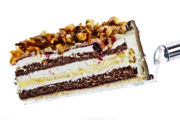 Nusskuchen auf Kuchenschaufel