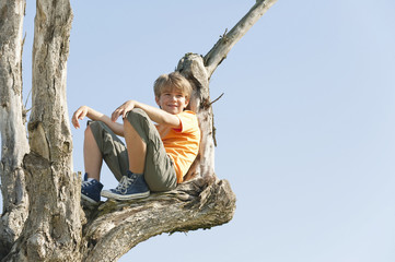 Spanien,Mallorca,Boy (8-9) sitzen im Baum