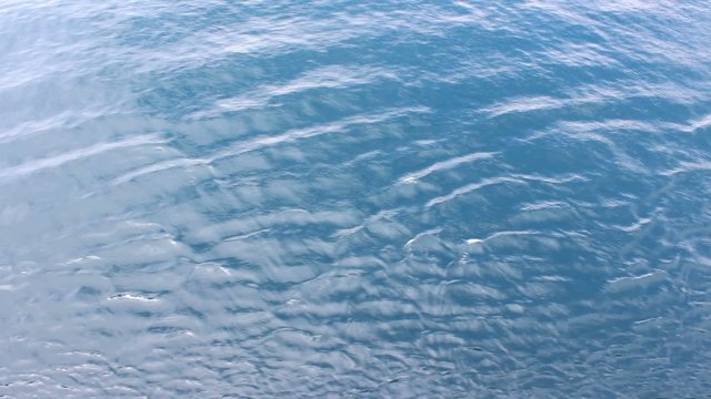 mare
