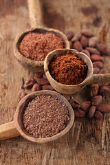 cocoa powder in spoon on roasted cocoa chocolate beans backgroun