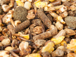 sportive  muesli background with black oats. for horse.macro