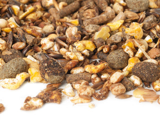 sportive  muesli background with black oats. for horse. macro