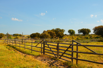 Fenced fields in a farm. Sunny day.