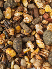 sportive  muesli background with black oats. for horse.macro