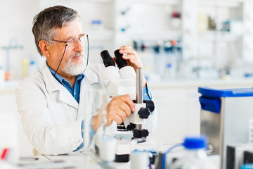 Fototapeta premium Senior male researcher carrying out scientific research in a lab