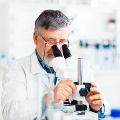 Senior male researcher carrying out scientific research in a lab