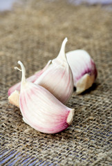 Fresh garlic on rustic background