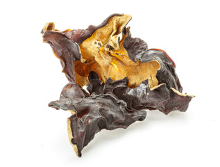 Fototapeta premium Asian dry mushrooms