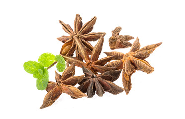 Star-anise
