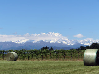 hay bales