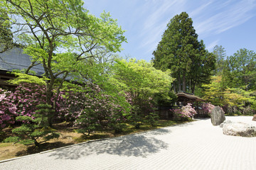 高野山金剛峯寺の庭園