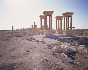 Obraz premium The image of landscape