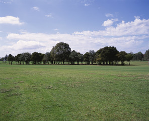 The image of beautiful nature