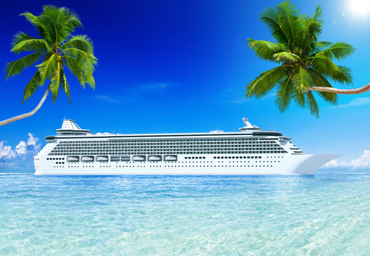 Cruise and palm tree