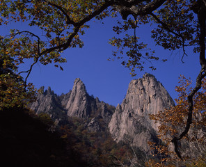 The image of beautiful nature