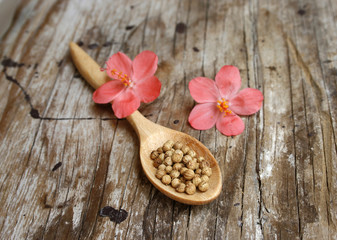 Obraz na płótnie Canvas Heap coriander seeds in wooden spoon