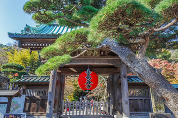 Fototapeta premium Main Gate of Hase-dera Temple in Kamakura