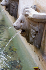 Fototapeta na wymiar Lion statue spitting water.