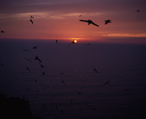 The image of beautiful nature