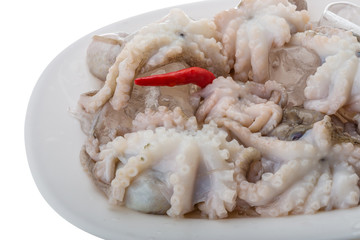 Raw octopus