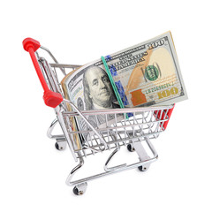 Dollar bill in the shopping trolley