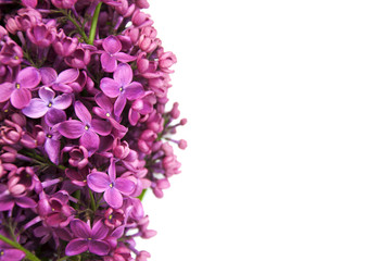 border of lilac flowers