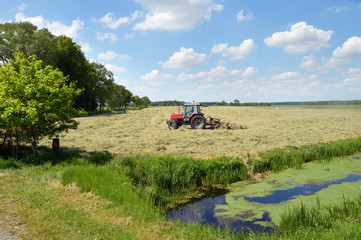 Naklejka premium A farm tractor pulling a hay rake in a field to clew the grass