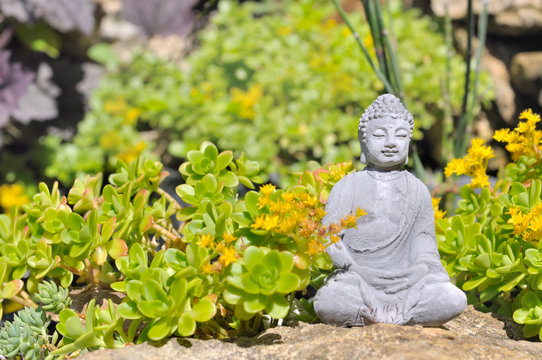 3 986 Best Bouddha Zen Images Stock Photos Vectors Adobe Stock