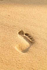Sandy beach