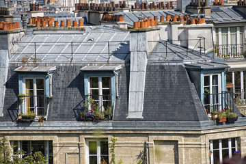 paris roofs and cityview