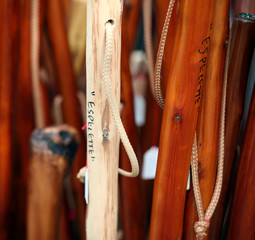 Obraz premium Bâton de marche