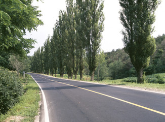 The image of beautiful nature