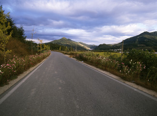 The image of beautiful nature