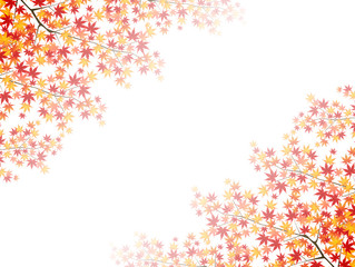 もみじ　紅葉　背景