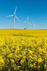 Windkraft, Windrad, Windenergie, Strom, Ökostrom, .