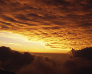 The image of beautiful nature