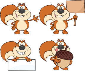 Squirrel Cartoon Mascot Character