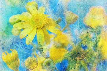 Sunny yellow daisy and messy watercolor splatter