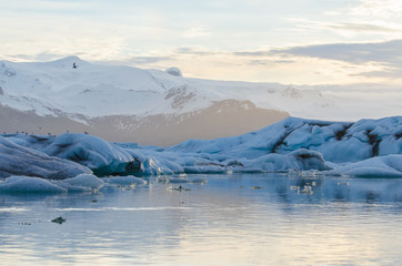 Jökulsárlón Ice Lagoon at sunrise