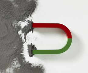 Magnet