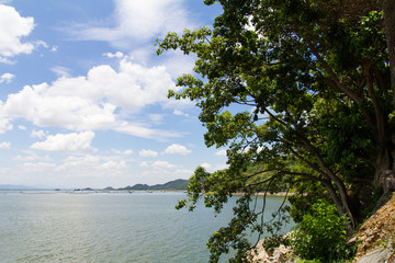 Trees growing on a hillside in lake islands, which are visible