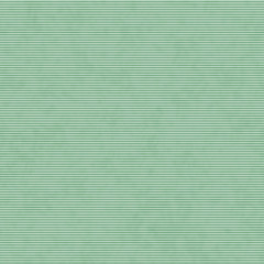 Obraz premium Green Thin Horizontal Striped Textured Fabric Background