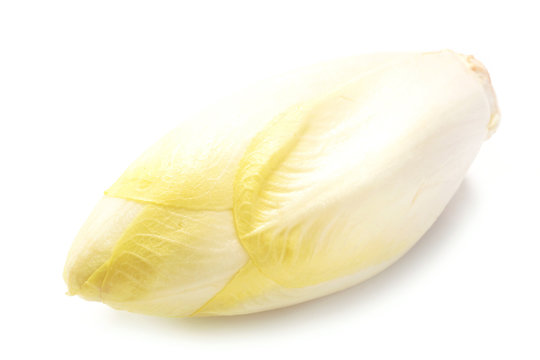 Chicor&eacute;e