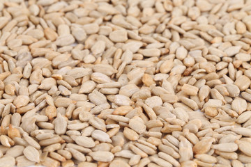Sunflower seeds background.