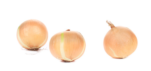 Three ripe onions.