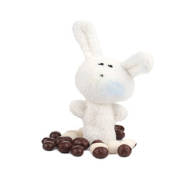 Easter rabbit and chocolate bonbons.