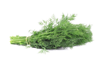 Bunch fresh dill herb close up.